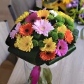 Colorful gerberas 2