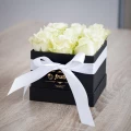 Black Box of White Roses 2