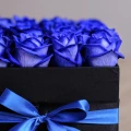 Schwarze Kasten Blaue Rosen 4