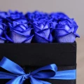 Black Box of Blue Roses 4