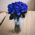 Blaue Rose 2