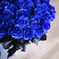 Синие розы 3