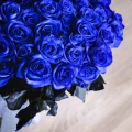 Blaue Rose 3