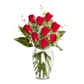 Red Roses with gypsophile 4