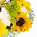 SUNFLOWER bouquet 3