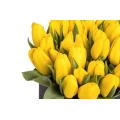 Black Box Oval of Yellow Tulips 2