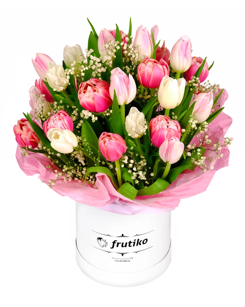 бело-розовые тюльпаны