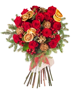 Christmas Roses