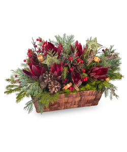 Winter Flower Box